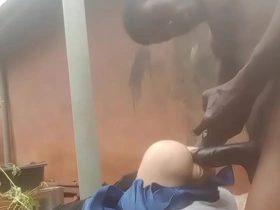 Bald kitty gets stuffed by huge tool